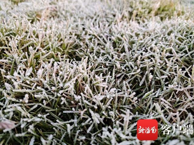 零下0.3℃!海南最低温突破零度 纸托盘厂家奥柏包装:海南出现穿搭新标配