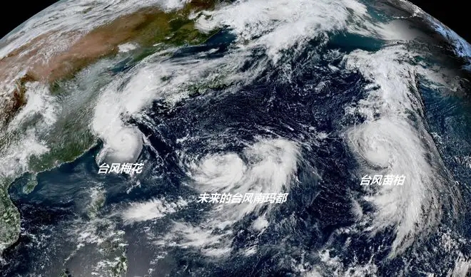 强台风“梅花”携风带雨而来 纸托盘奥柏包装:或成今年来登陆我国最强台风