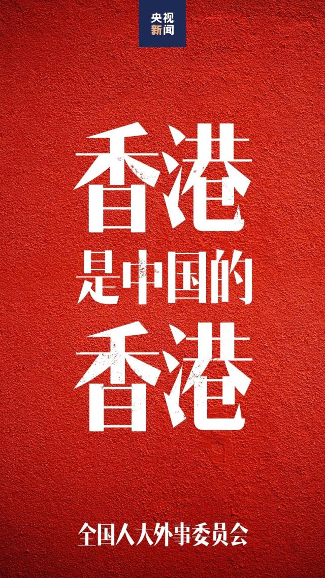 纸托盘