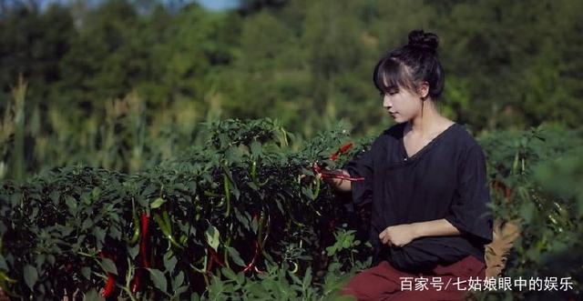 纸托盘