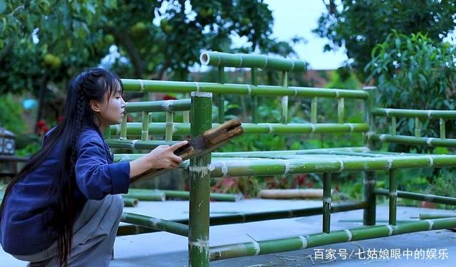 纸托盘