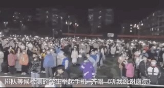 纸托盘