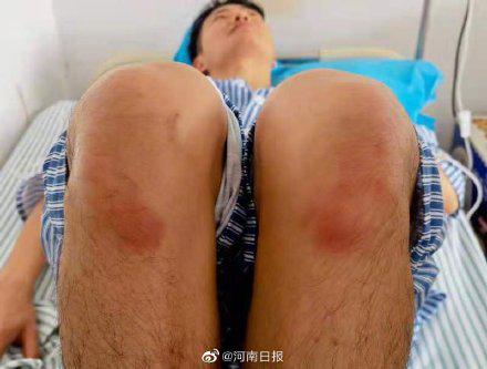 纸托盘