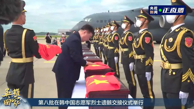 纸托盘