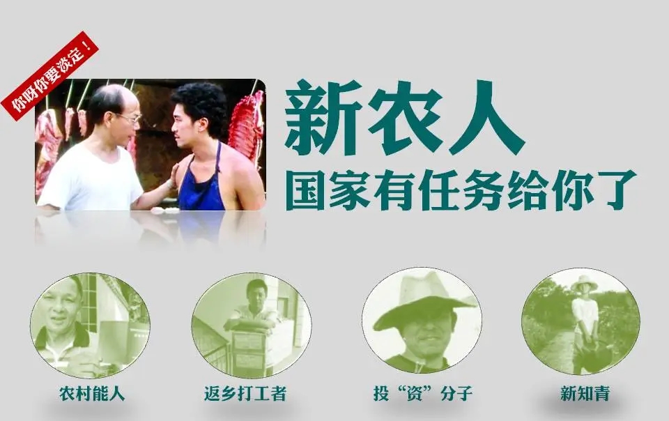 纸托盘